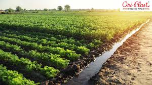 Preventing Waterlogging in Agriculture ...